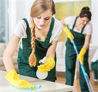  A Woman's Touch  Housecleaning