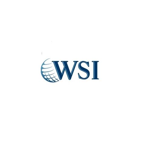 WSI INTERNET PARTNER WSI Internet Partners