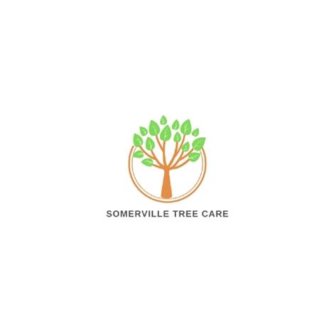  Somerville Tree Service