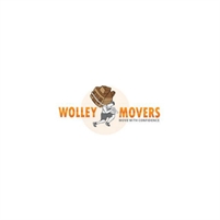 Moving Company Wolley  Movers Chicago