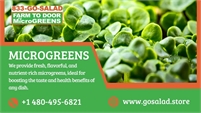 Go Salad Microgreens sfd ad